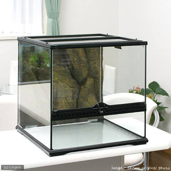 GEX（ジェックス） エキゾテラ グラステラリウム 4545 爬虫類 飼育