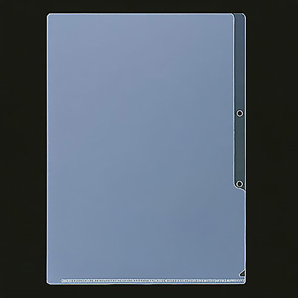 ニックス 2穴クリアホルダーA4 MS-2-A4 1袋(10枚入) - アスクル