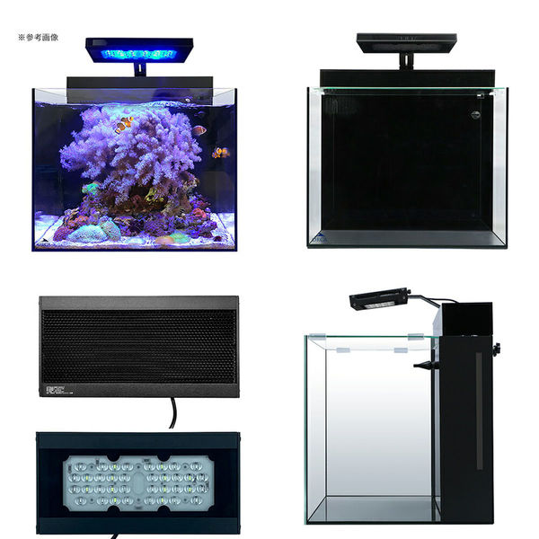 レッドシー SHELL2 オルカスキマー ミニット2DX付 シェル