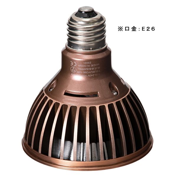 BARREL バレル ツクヨミ10W ゴールド 2個セット BARREL TSUKUYOMI 10W