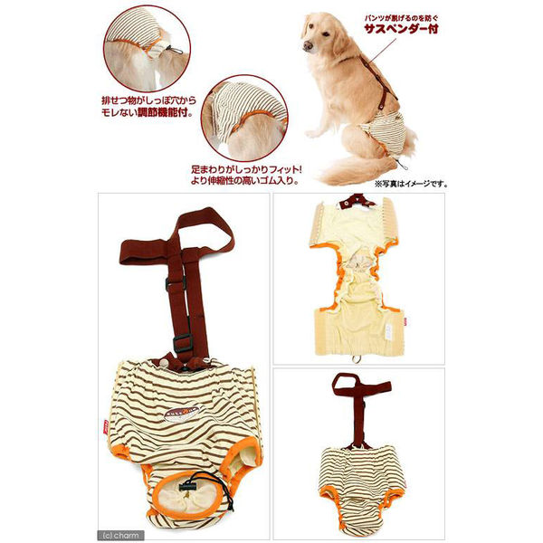 ペティオ 老犬介護用 オムツパンツ S おもらし 4903588236327 1個