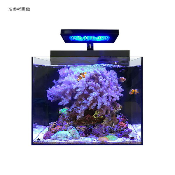 ORCA shell2 水槽 ORCA Shell2