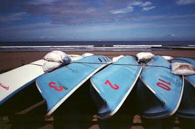 RICOH HI-COLOR 35 実写作例あり RICOH HI-COLOR 35 実写作例あり