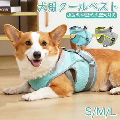 犬服 SS わんこの普段着黄色いさくらんぼ