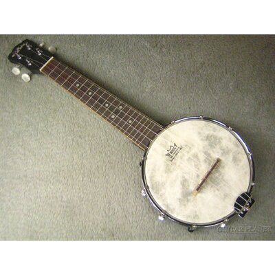 Aria アリア SB-600 5弦 デラックスバンジョーBANJO