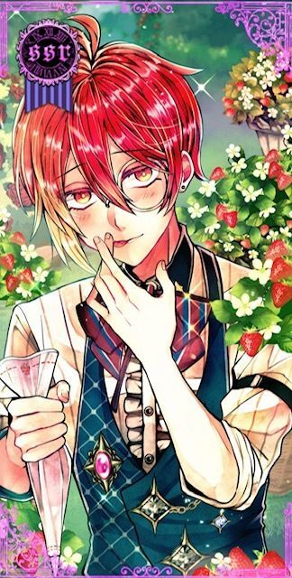 あくねこ いちご フェネス 40個 悪魔執事と黒い猫 アウトレット 価格