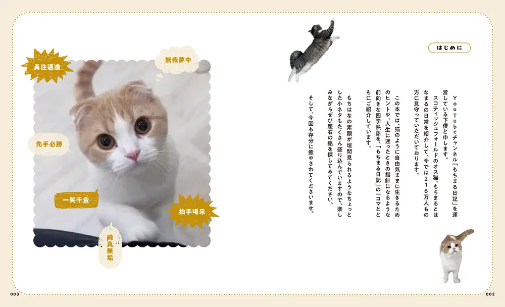 人生のヒントが見つかる もちまる日記四字熟語」下僕 [生活・実用書