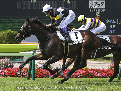 藤原英昭調教師、JRA通算800勝まであと「1」 | ニュース | 競馬ブック