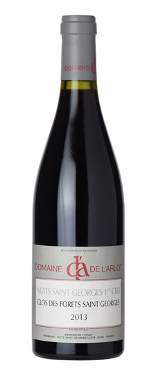 ワイン Nuits-Saint-es 1er Cru 2013 2013 Domaine Robert Chevillon