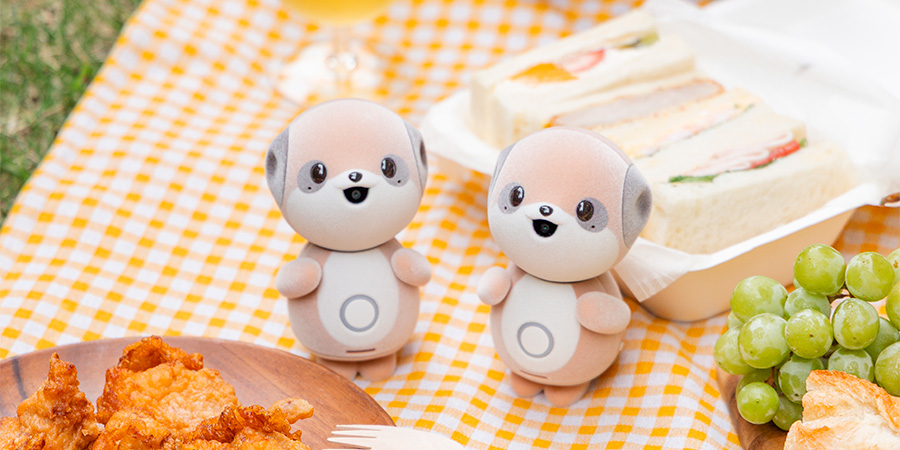 シャープ ポケとも SR－C01M－W 【取寄商品】順次発送｜【ハンズネット