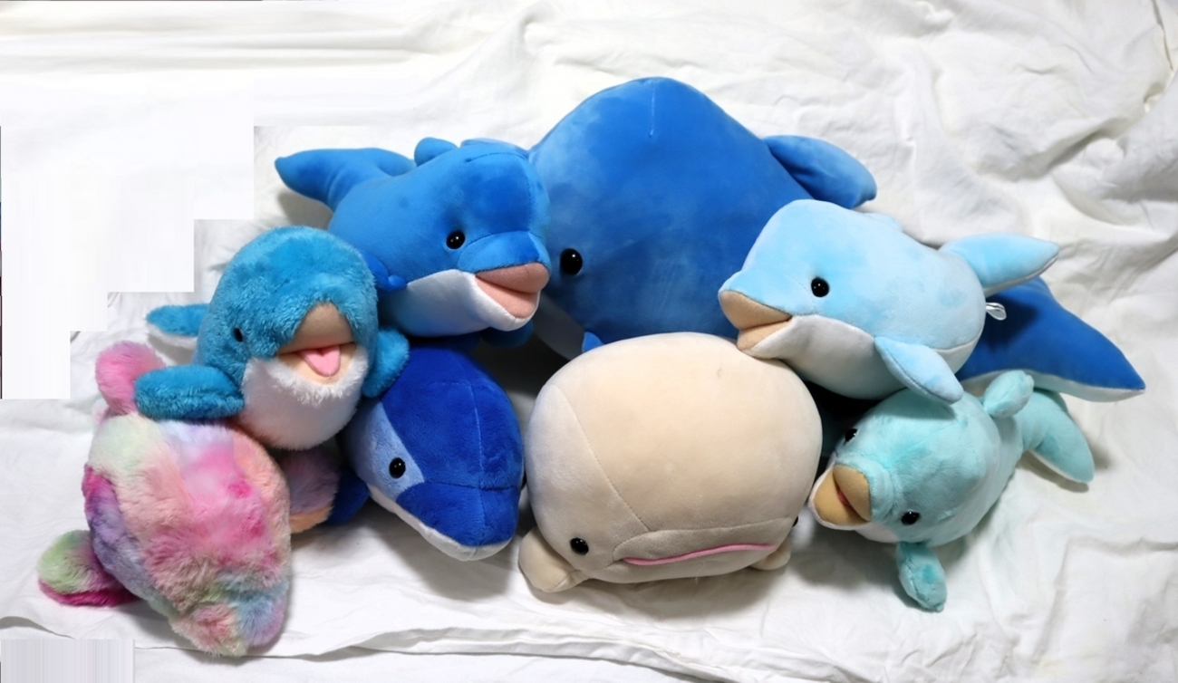 backend=imagemagick;version=1;