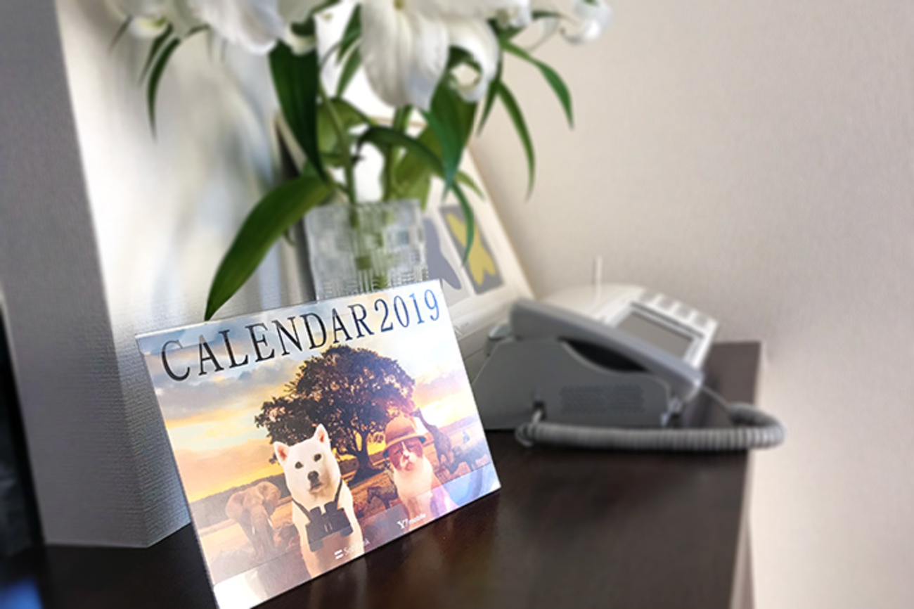 ソフトバンク ワイモバイル 新品未開封 カレンダー 2019 希少品 入手