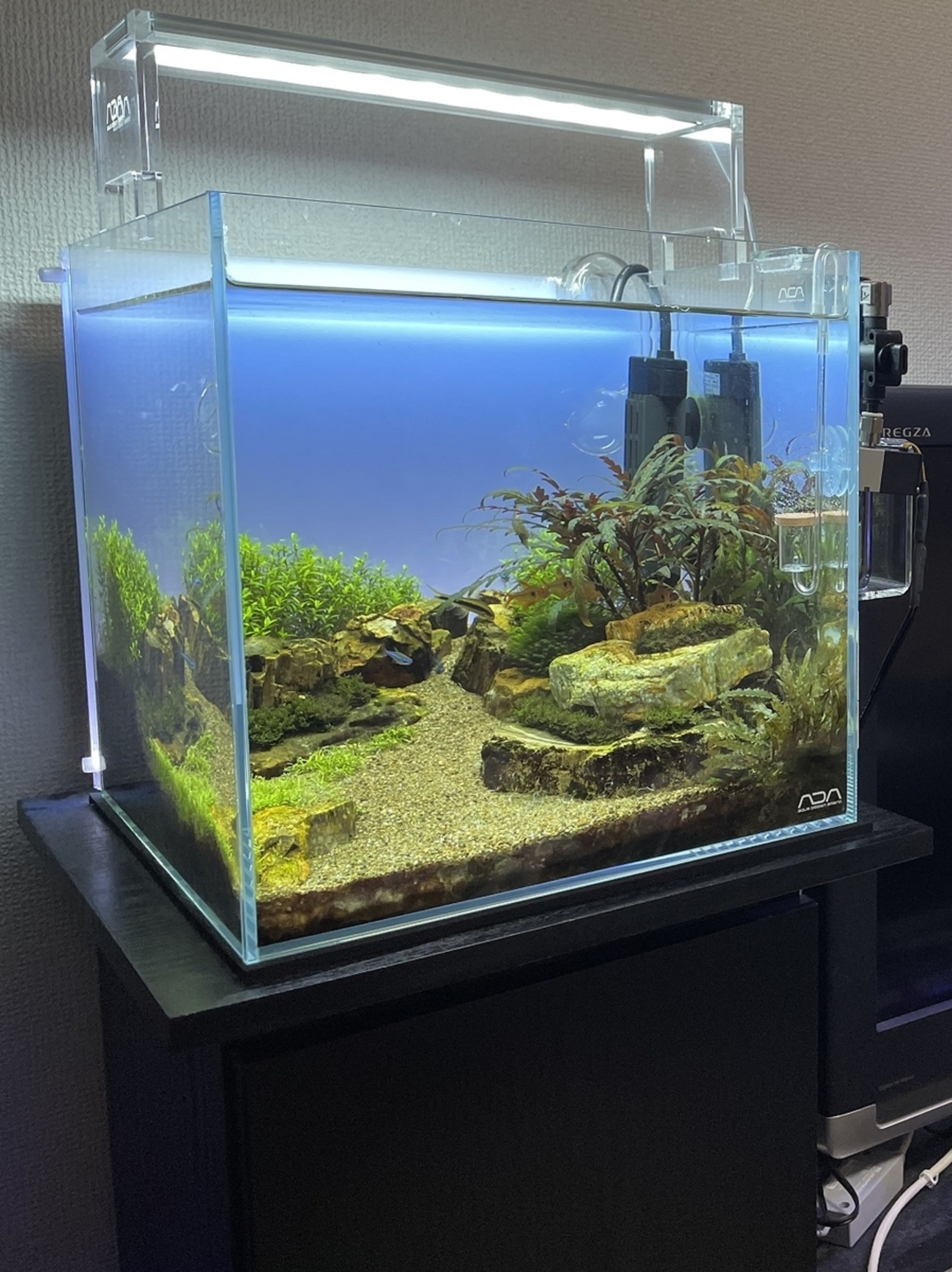 ADA30cmキューブ水槽 LEDライトセット
