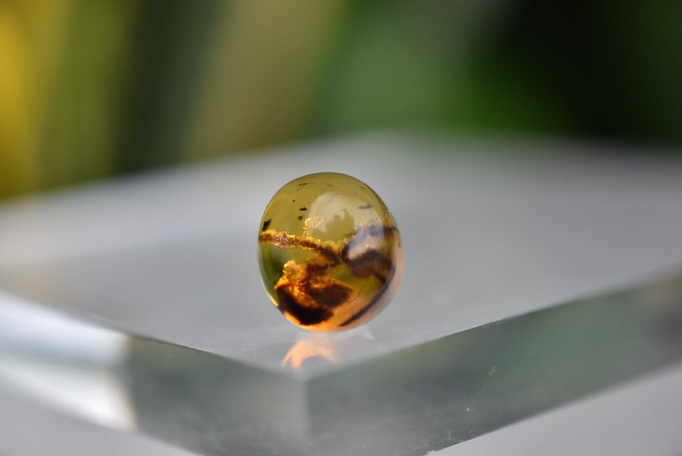 古代の生物☆ 天然琥珀 イエローアンバー s871 | iichi 日々の暮らしを