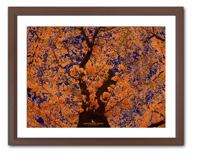 オレリーマティゴ アート 貴重 エイチピーデコ オレリーマチゴ 写真