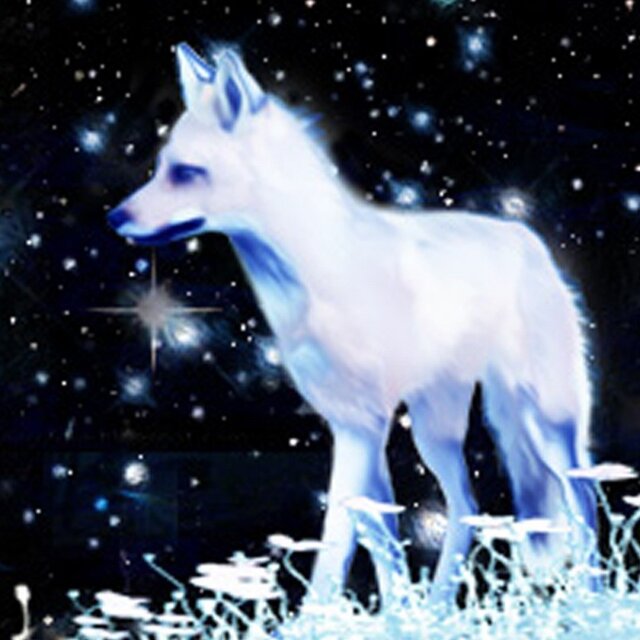 雪狐 【A3】サイズ | iichi 日々の暮らしを心地よくするハンドメイドや