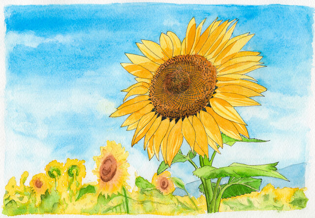 クリスタルアート ピクチャー 水晶絵 ひまわり 楽天市場】水晶パネル