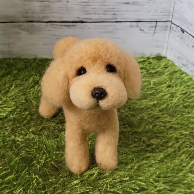 羊毛フェルト 犬 ワンコ プードル ペット うちの子 虹の橋 トイプー 犬