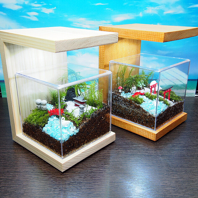 LED照明付き檜スタンド（苔テラリウム専用）ナチュラル | iichi 日々の