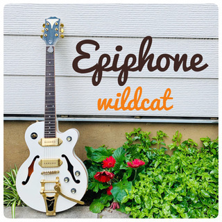 Epiphone WILDKAT エピフォンワイルドキャット ミントグリーン 2026年