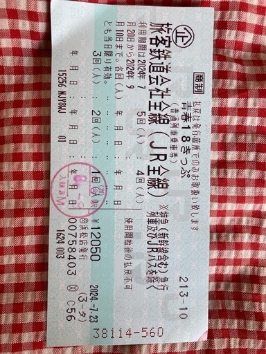 青春18切符 4回分 9500円