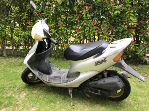 ライブディオ zx 最終型 ディスカウント