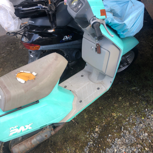 オレンジ L ショップ エリザベスサークル チョーカー インフレータブル