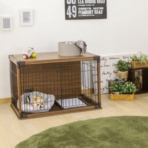 販売 c608 茶碗 乾山写 未草 伊藤魁雲 木箱 茶道具 古物