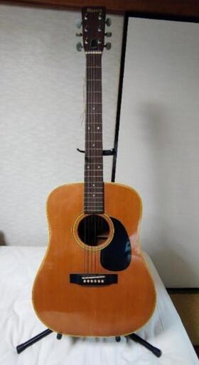 Morris アコースティックギター W-18