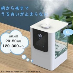 取引中]FF8 海にもってけサボテンダー (未使用品) (ソウ) 笠幡のその他