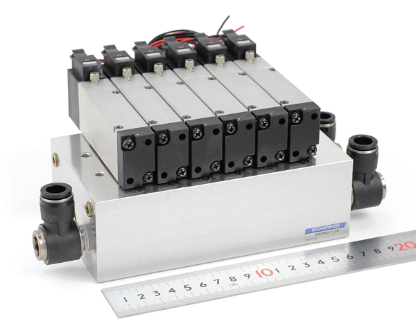 コロンビア産特大レモイネイトゲウスバカミキリ81mm