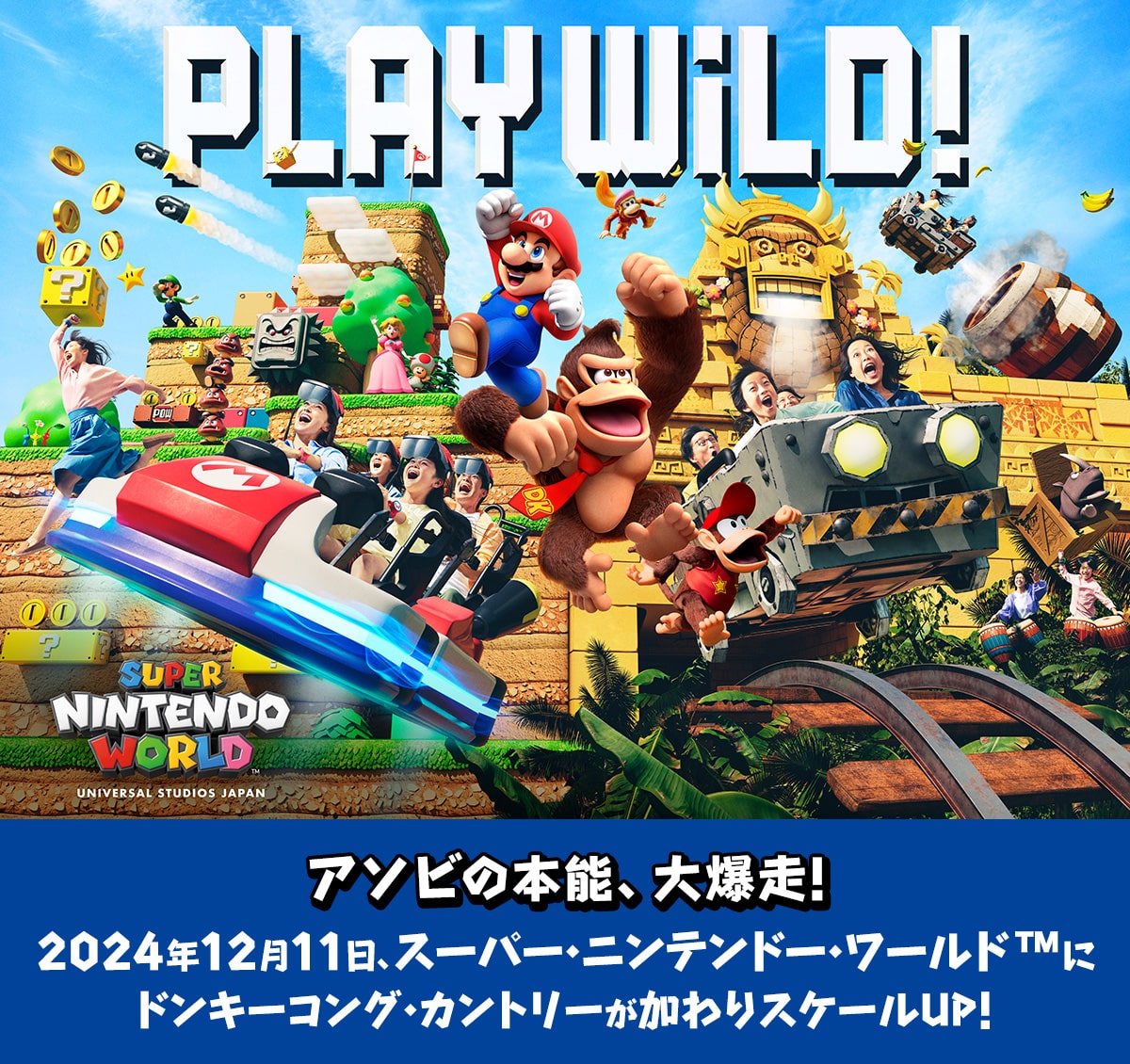 USJ マリオ ニンテンドーワールド 公式 エクスプレスパス (正規品) 2