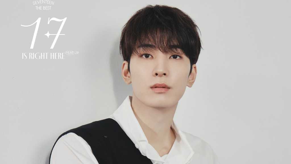 セブチ wonwoo ウォヌ 着用 NUMBERING ナンバリング 希少 新品