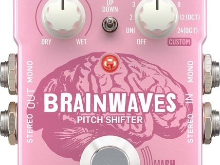 ギター tc electronic Brainwaves Pitch Shifter Amazon.com: TC