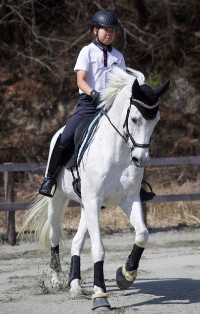 勝利の方程式：大和のアスリートたち 馬の世話で信頼感育て 乗馬・中本