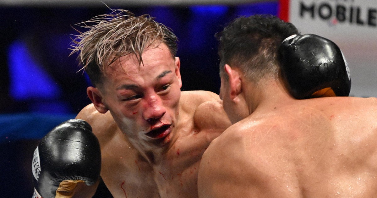 ボクシング douraku1967 ボクシング douraku1967 ボクシング】匠の扉