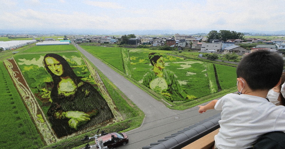 19年ぶり雪辱 「脱下ぶくれ」モナリザ登場 青森の田んぼアート | 毎日新聞