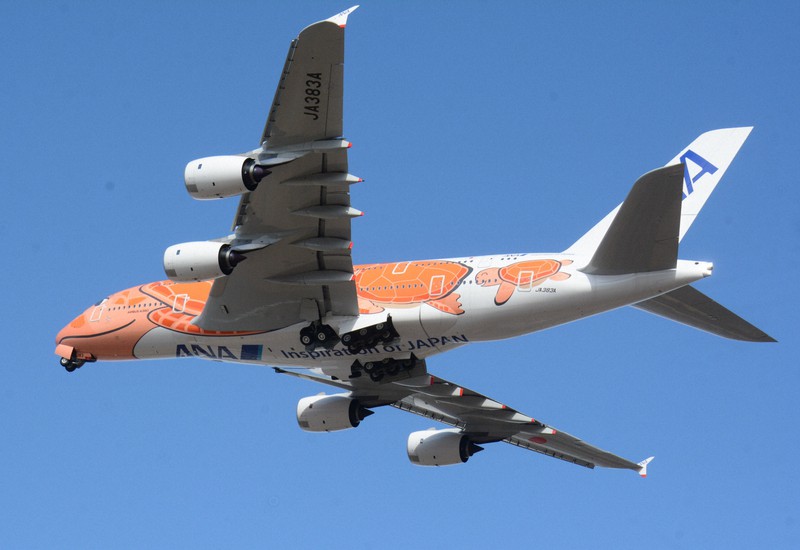 フライングホヌ✕3色セット ／a380 20cm ○AirbusA380 フライングホヌ