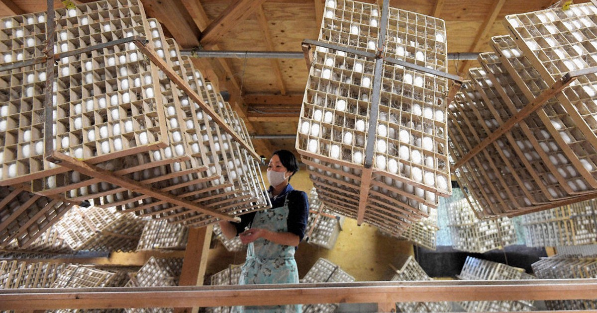 最終価格】養蚕農家の古いはしご（江戸時代）