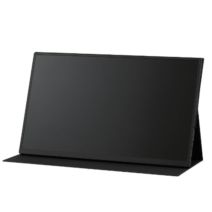 アイリスオーヤマ ポータブルモニター 18.5inch DP-EF184S-Bの通販