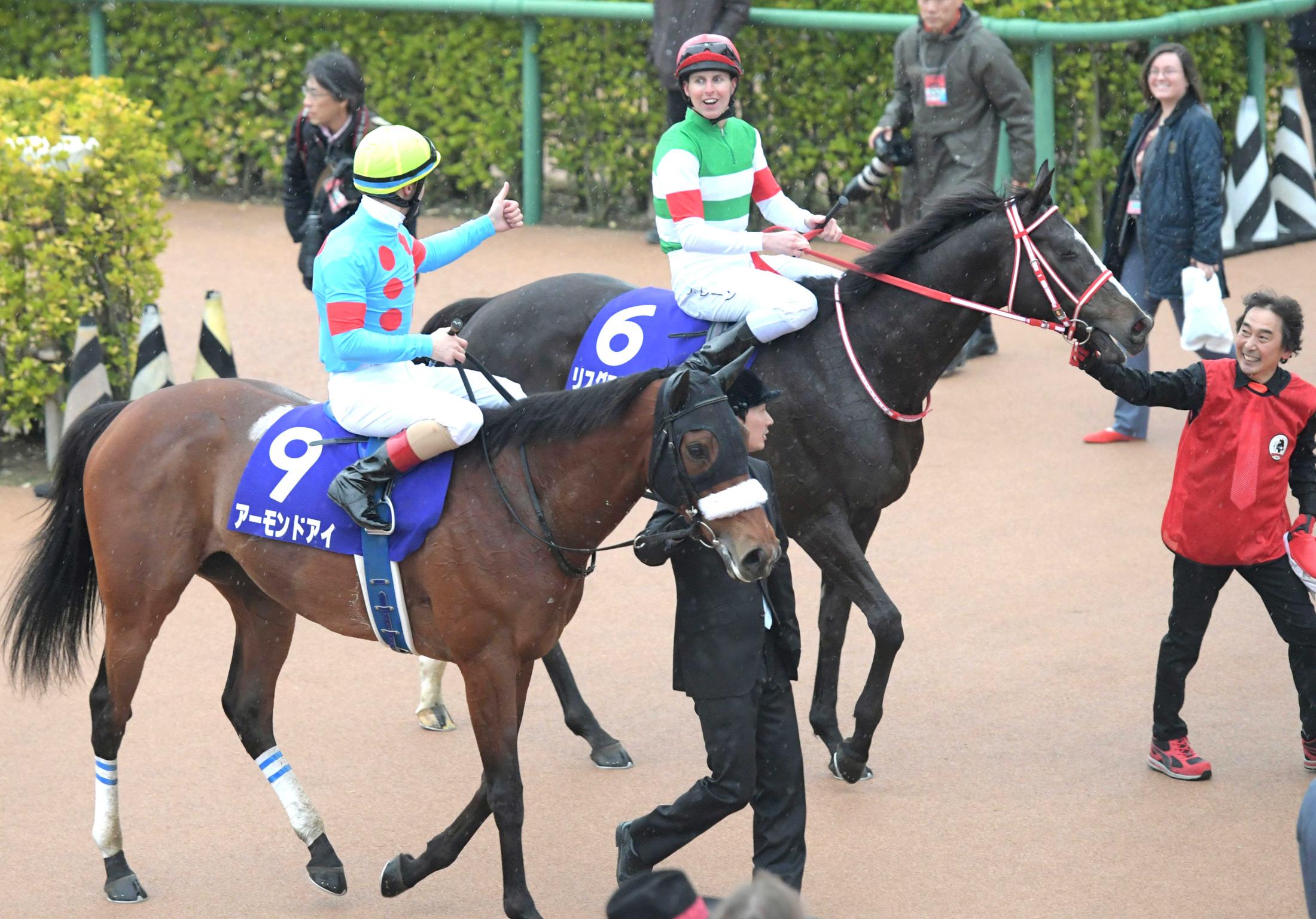 アーモンドアイ引退記念 特製純金プレートセット（限定100セット