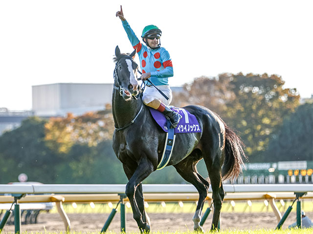 イクイノックス レプリカゼッケン ジャパンC 送料無料 / 実物大