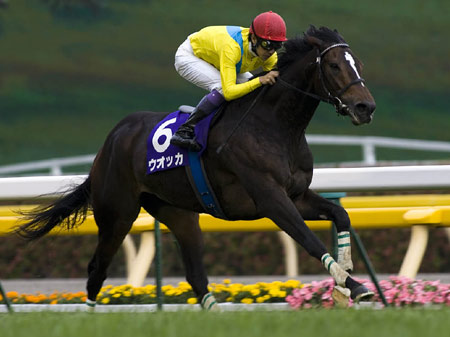 ヴィクトリアマイル、ウオッカが7馬身差圧勝！ | 競馬ニュース - netkeiba