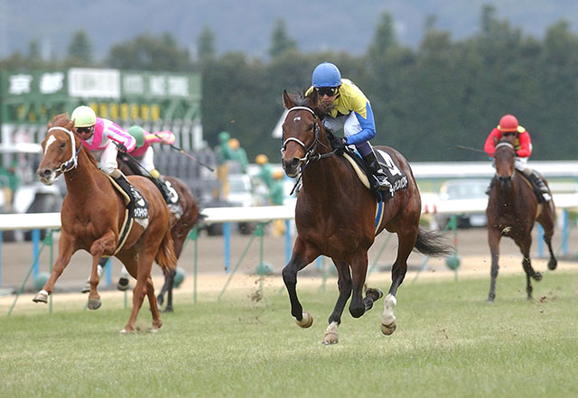 伝説の始まり ディープインパクトの若駒SノーステッキVから20年 | 競馬