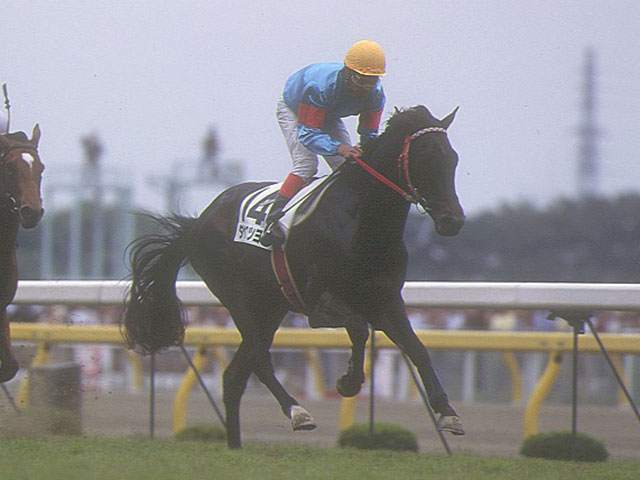 ケンタッキーダービー コカ・コーラ サンデーサイレンス マグ