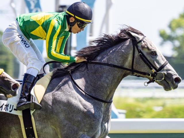 ヴィクトリアマイル、ウオッカが7馬身差圧勝！ | 競馬ニュース - netkeiba