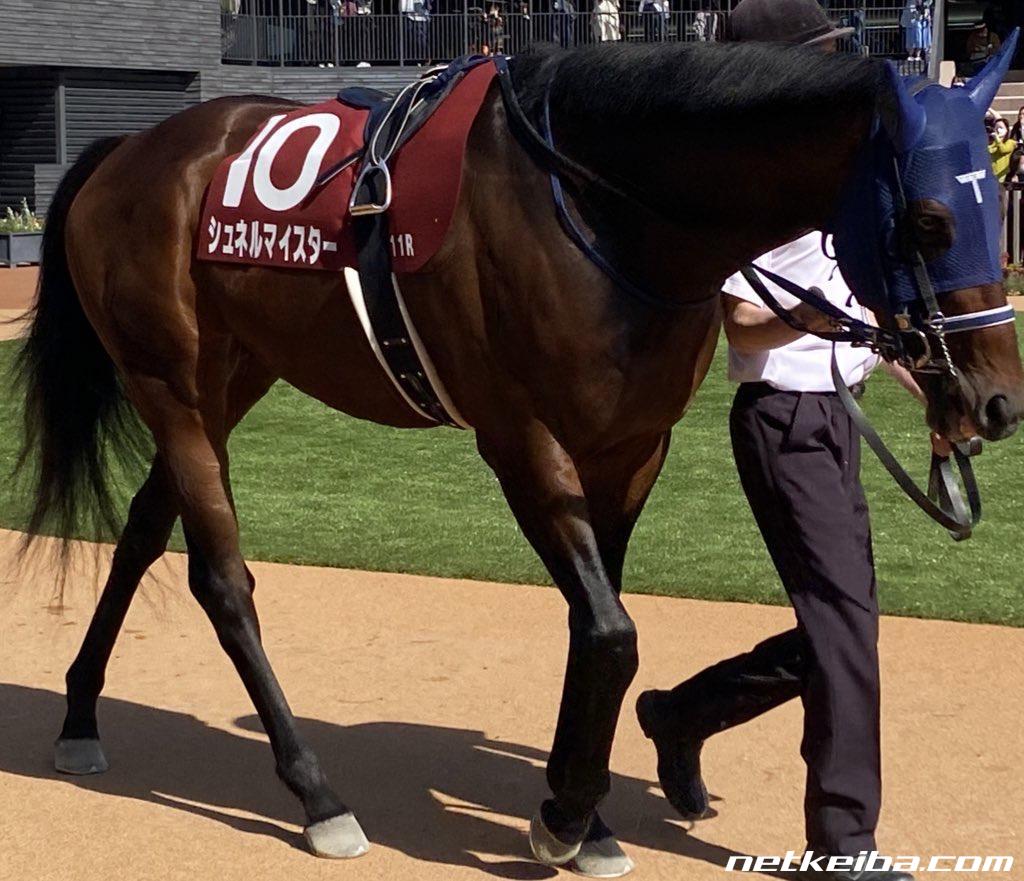 ☆競馬☆シュネルマイスター☆たてがみ☆ノーザンホースパーク 【公式