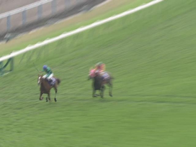 エリザベス女王杯(G1) 結果・払戻 | 2009年11月15日 京都11R レース