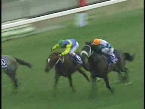 フラワーパーク スプリンターズS 1996 Sprinters Stakes (GⅠ