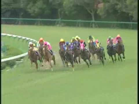 現地単勝 宝塚記念2002年 ダンツフレーム100円おまけ2枚 現地単勝 宝塚